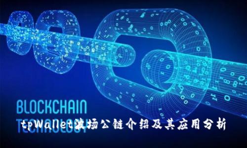 tpWallet波场公链介绍及其应用分析