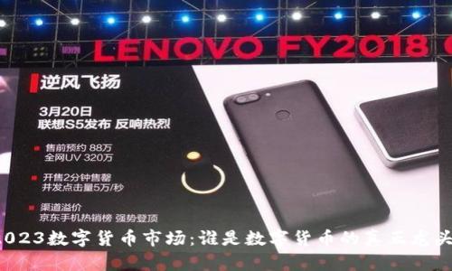 2023数字货币市场：谁是数字货币的真正龙头？
