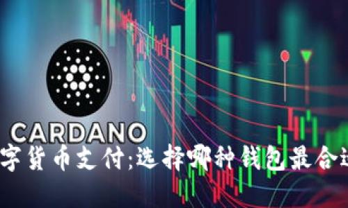数字货币支付：选择哪种钱包最合适？