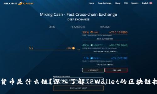 TPWallet货币是什么链？深入了解TPWallet的区块链技术与应用