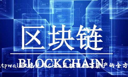 如何在tpwallet中使用CHC：区块链数字资产的全方位指南