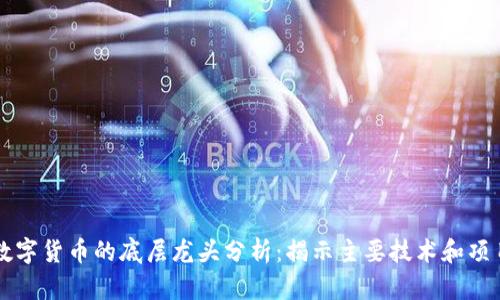 数字货币的底层龙头分析：揭示主要技术和项目
