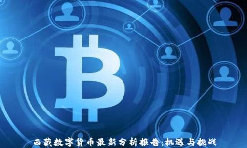 
西藏数字货币最新分析报告：机遇与挑战