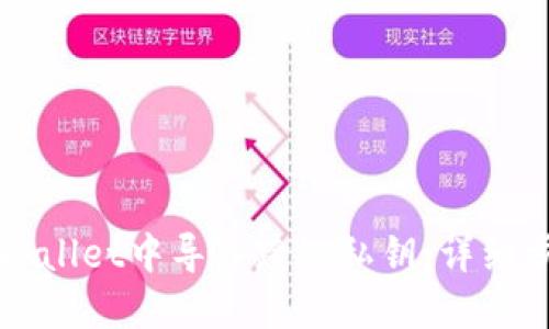 如何在TPWallet中导入跨链私钥：详细步骤与指南