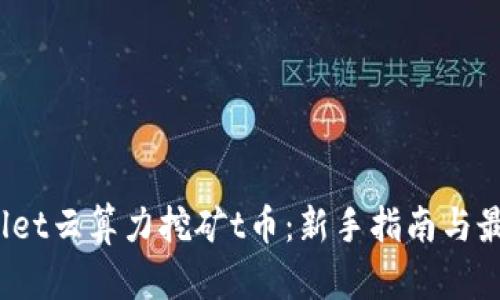  tpwallet云算力挖矿t币：新手指南与最佳实践