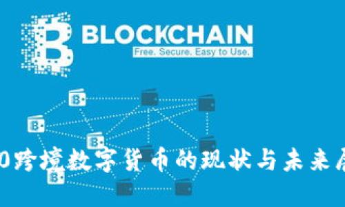 G20跨境数字货币的现状与未来展望