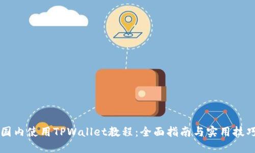 国内使用TPWallet教程：全面指南与实用技巧