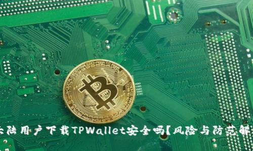 大陆用户下载TPWallet安全吗？风险与防范解析