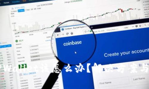 手机上没有TPWallet该怎么办？解决方案与常见问题解答