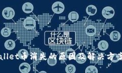 TPWallet币消失的原因及解决