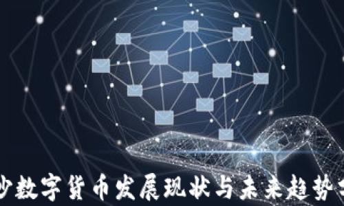 
长沙数字货币发展现状与未来趋势分析