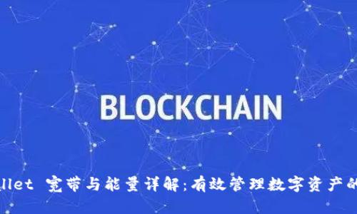TPWallet 宽带与能量详解：有效管理数字资产的关键
