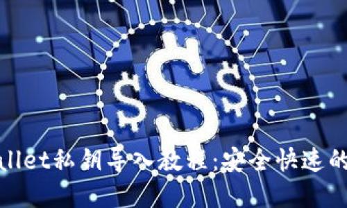 tpwallet私钥导入教程：安全快速的方法
