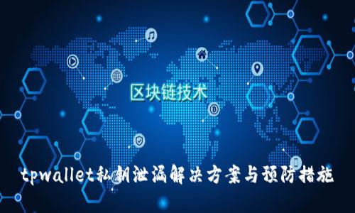 tpwallet私钥泄漏解决方案与预防措施