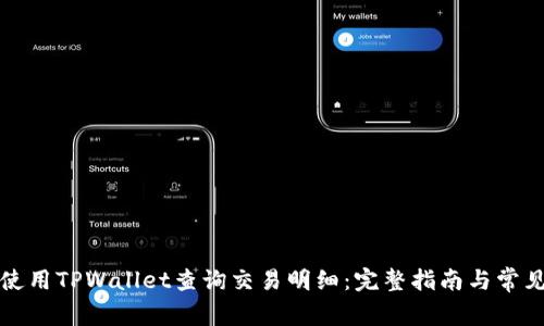 如何使用TPWallet查询交易明细：完整指南与常见问题