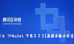 为什么 TPWallet 下载不了了？原因与解决方案解析