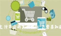 TPWallet元支付背后的真相揭秘：你需要知道的骗局