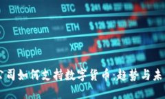 美国公司如何支持数字货