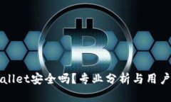 TPWallet安全吗？专业分析与