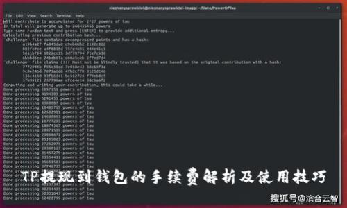 TP提现到钱包的手续费解析及使用技巧