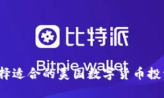 如何选择适合的美国数字