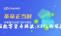 全面解析美国数字货币瑞