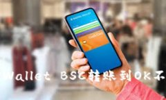 如何解决TPWallet BSC转账到