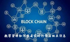 数字货币如何查看实时行