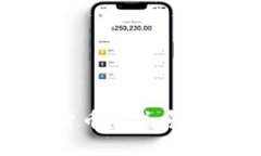 ### Flink与数字货币的关系