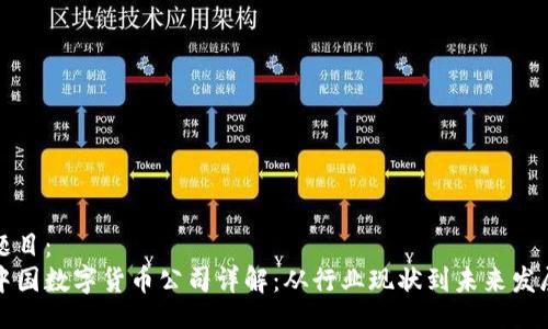 题目：  
中国数字货币公司详解：从行业现状到未来发展