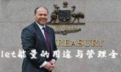 TPWallet能量的用途与管理全