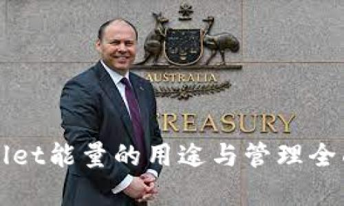 TPWallet能量的用途与管理全面解析