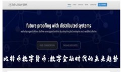 比特币数字货币：数字金