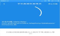 如何查看TPWallet地址：详细指南