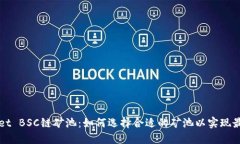 TPWallet BSC链矿池：如何选