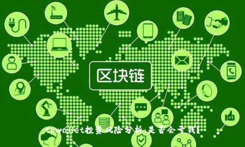 tpwallet投资风险分析：是否会亏钱？
