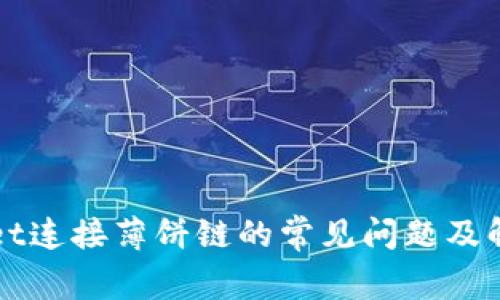 TPWallet连接薄饼链的常见问题及解决方法