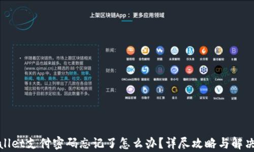 
tpwallet支付密码忘记了怎么办？详尽攻略与解决方案