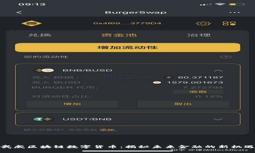 武威区块链数字货币：揭秘未来金融的新机遇