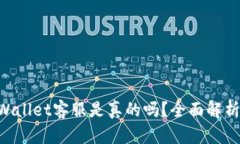 电报上TP Wallet客服是真的