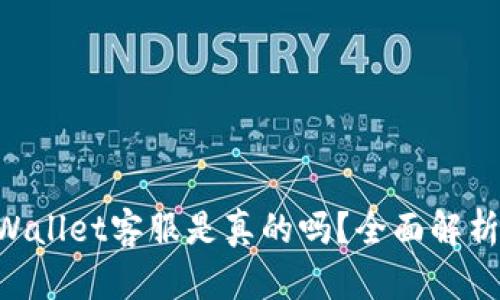 电报上TP Wallet客服是真的吗？全面解析与使用指南