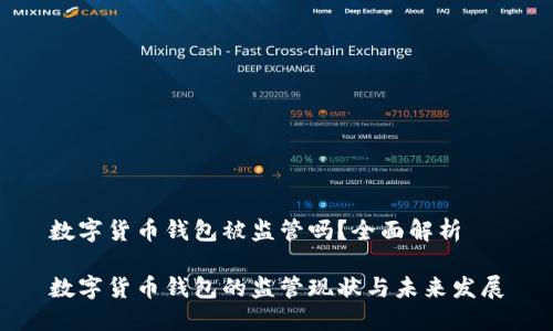 数字货币钱包被监管吗？全面解析

数字货币钱包的监管现状与未来发展