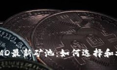 TPWallet DMD最新矿池：如何选择和参与最佳矿池