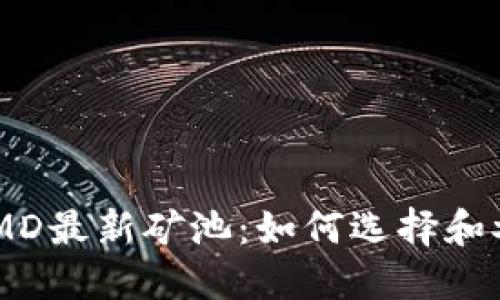 TPWallet DMD最新矿池：如何选择和参与最佳矿池